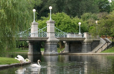 A lovely photo of Boston's Public Garden, with two swans sliding into a calm lagoon and a 140-year-old iron footbridge in the background.